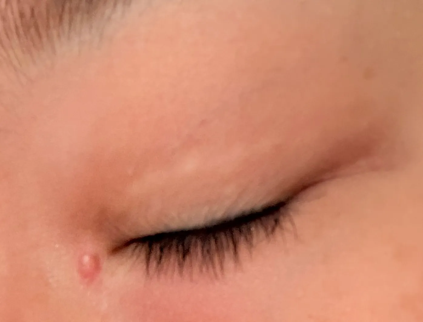 Review photo — Elsa Chan — Wilmslow
