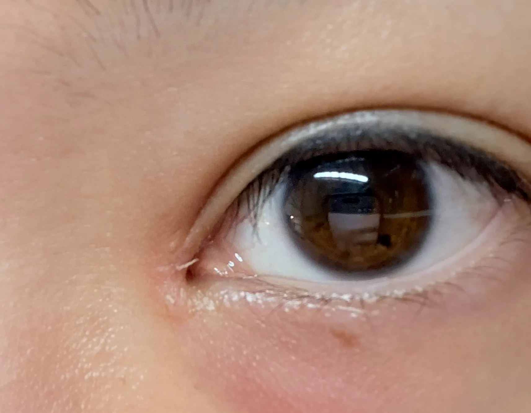 Review photo — Elsa Chan — Wilmslow